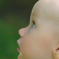 Tema. September 2012