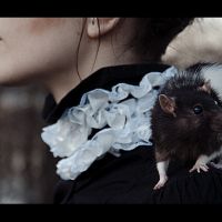 Taffi & Masha. April 2013